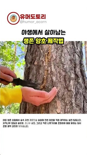 야생에서 살아남는 생존 양초 제작법