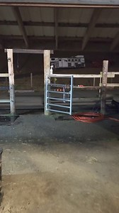 Rise early, don't let the weather stop you, and keep moving! Cassidy Freeman wants to make the most of each day she is blessed with. She is trying her best to take advantage of the opportunities and challenges that are in front of her, the lessons and experiences that they offer so she can learn and become better than she was the day before! RISE AND SHINE! BUILD THAT FIRE IN YOUR SOUL! LIVE YOUR PASSION! #luckyahorsemanship #followyourpassion #coltstarter #horsetrainer #makeithappen #neverstop 