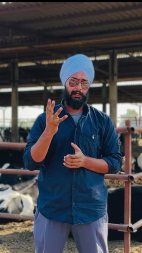 New top bull for hf cow, Breed improvement। High milk and fat । Profit from dairy Business। #shorts