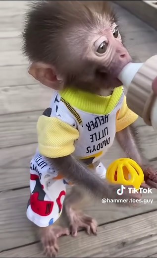 ✝️ Hammer Toes Guy on TikTok