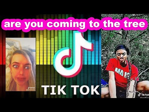 Compilation Tik Tok - Are you coming to the tree