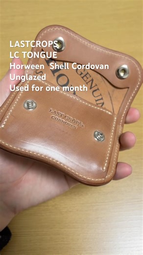 #leather #wallet #ラストクロップス #lastcrops #ワイルドスワンズ #shellcordovan #シェルコードバン #patina #記録 #エイジング
