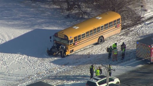 10 students hospitalized after Will County school bus crash; other driver dead