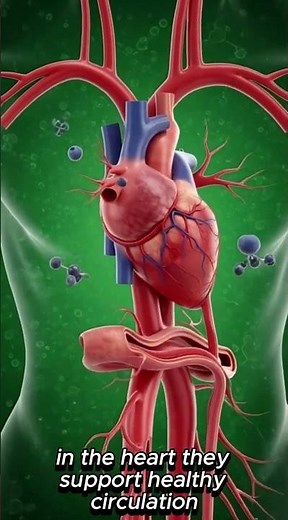 Dried Blueberries Benefits | Brain Heart Gut Energy & Immunity Boost