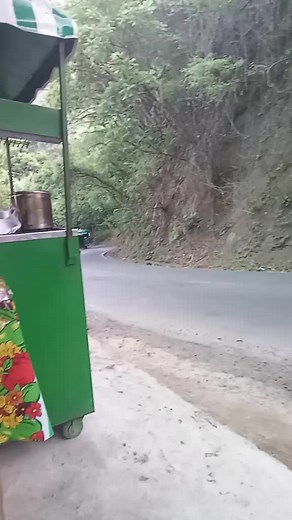 Exploring the Scenic Route on Bus 317