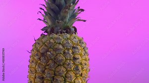 Ripe whole pineapple on a vibrant purple background, highlighting its texture and color.