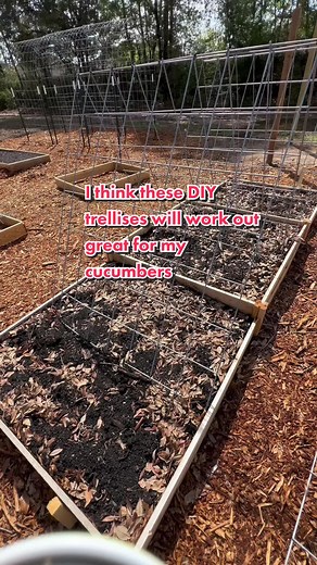 DIY A-Frame Trellis for Cucumbers & More