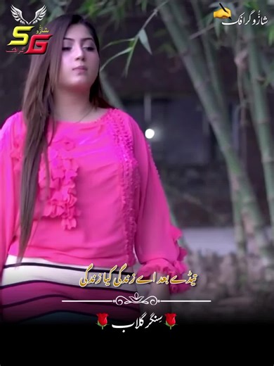 Discover the Talents of Singer Gulab in Saraiki Music