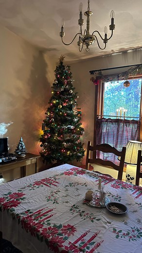 I found these vintage Christmas lights at Goodwill this summer, but sadly they weren’t safe to plug in. Instead of ditching them, I gave them a second life A little repurposing goes a long way when it comes to keeping that vintage Christmas charm alive. #VintageChristmas #RepurposedDecor #ThriftedFinds #CozyChristmas #SimpleLiving | Morgan Geyer