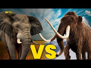 Mammoth vs Elephant: Who’s the Strongest?