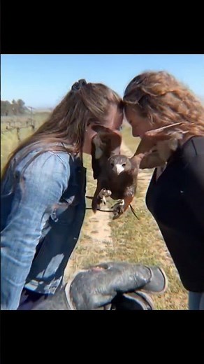 Amazing Facts & Unexplained Mysteries for Short Reels | Intriguing Stories