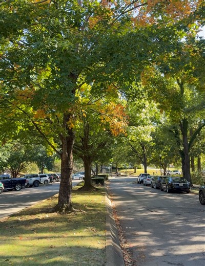 Lindsay Miller on Reels