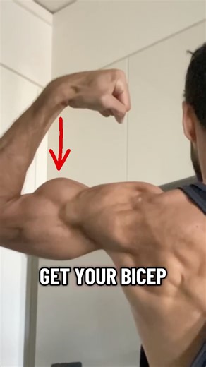 How to Grow Your Bicep Peak 💪🏔️