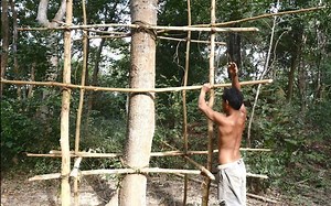 原始技术：在森林里建造树屋 - p1 - 搭建脚手架 [Evolution of primitive technology]