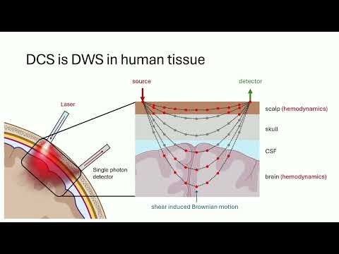 What is diffuse correlation spectroscopy?
