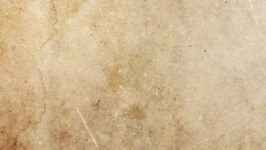 Nature Old Paper Texture or Background. Video Animation