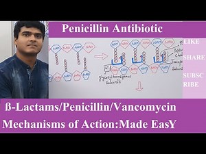 Beta-Lactams Antibiotics Mechanisms of Action | Cell Wall Synthesis Inhibitors | Penicillin | PART-1