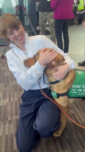 Now boarding: guide dog puppies ✈️