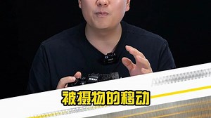 尼康入门相机推荐：D3500与D5600怎么选？实战体验分享，适合家庭摄影和旅行记录