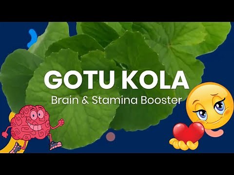 GOTU KOLA BENEFITS: Top 10 health benefits of gotu kola plant or centella asiatica