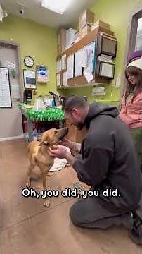 This dog needed surgery 💔