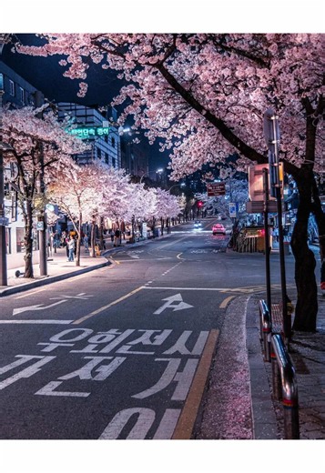 like… #ctdr #rsu #korea #korean #fyp