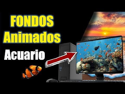 4K AQUARIUS as a MOVING Wallpaper for Laptop/PC