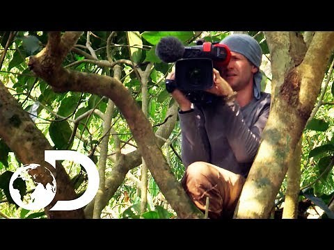 Behind-The-Scenes With Discovery’s Cameramen