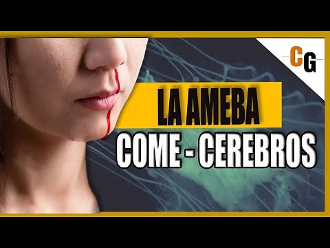 NAEGLERIA: La Ameba COME CEREBROS - Meningoencefalitis Amebiana Primera / Negleriasis Explicada