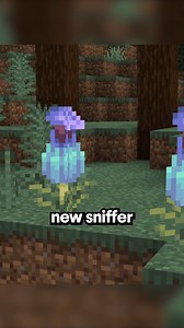 152K views · 1.4K reactions | java vs bedrock #minecraftbuilds #minecraft #minecraftpe #minecraftmemes #minecraftmods | Game Of Minecraft | Facebook