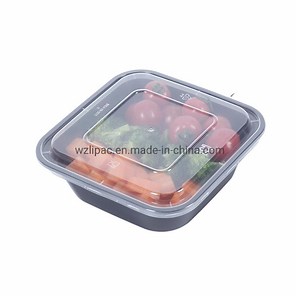 [Hot Item] Wholesale Meal Box Plastic Food Disposable Keep Food Warm Containers