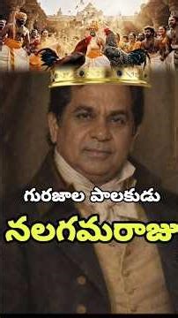 The Deadly Game: Palnati Yudham's Cockfight #telugu #war #sankranthi #guntur #vijayawada #education