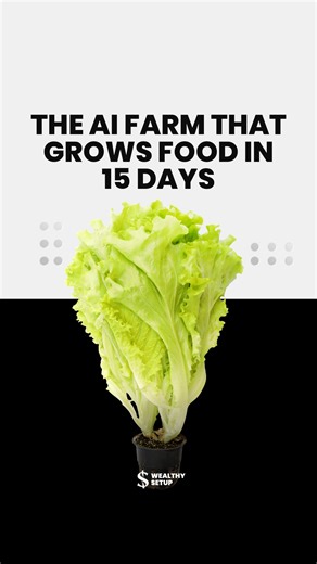Wealthy Setup on Instagram: "This is the world’s first fully automated vertical farm of the future. Inside, AI-powered robots control everything — light, water, nutrients, and plant movement. The most shocking part? A full harvest in just 15 days, using up to 95% less water than traditional farming. The company behind it is AutoStore, and its farms already supply fresh greens to Whole Foods. The structure works like a giant 3D Rubik’s cube: robots slide plants through a grid so each crop gets pe