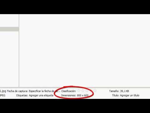 Programación con Processing - Insertar una imagen de fondo