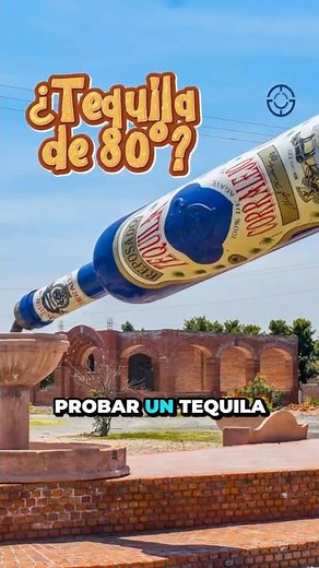 Dare to try 80° tequila in Corralejo? 🥃🔥