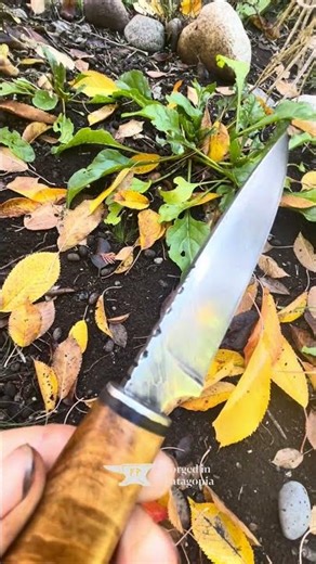 From Steel Cable to a Damascus Knife | Forged in Patagonia