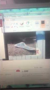 David ricks the backyardigans next on treehouse