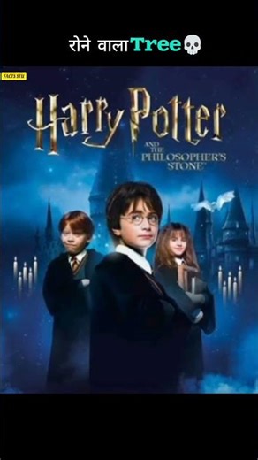 “The Crying Tree Mystery! 🌳😱”#guessthesong