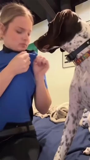 Funny Dogs' Reactions to Kisses: Hilarious Moments