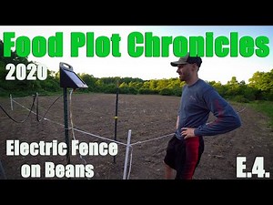Food Plot Chronicles I E.4 I Setting up an electric fence around a food plot