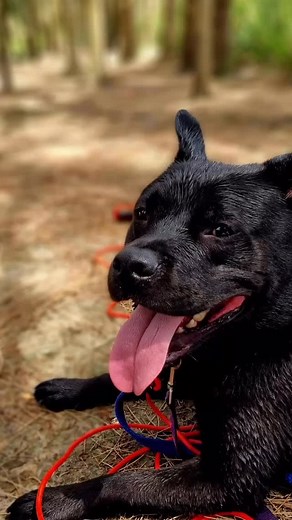 213 reactions · 53 shares | I’M ONLY GETTING OLDER…. SINCERELY,...