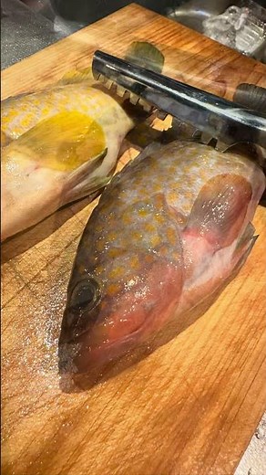 氷見漁港のキジハタ（アコウ）の煮付け #キジハタ#アコウ #キジハタの煮付け#cooking