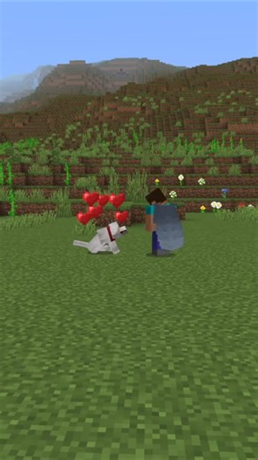 “Wolf Se Bhi Strong Pet! 🔥”