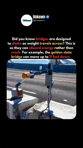 Have you ever seen a bridge shake?