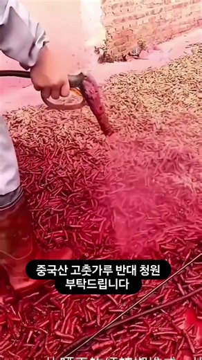 빨간색 입힌 중국산 고춧가루 #중국 #중국산