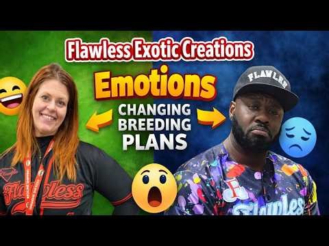 STOP Letting Emotions Ruin Your Ball Python Breeding!