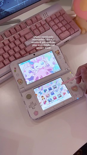Best Adult Purchase - Modded 3DS for Gaming Fun