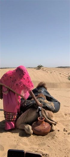 🌵 الجرّة علقت تحت قدم الجمل والفتاة تحاول إنقاذه بالماء 😲💦