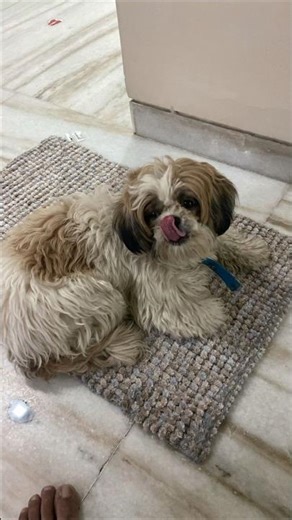 Baraati by night, employee by morning..Dance floor se seedha Excel sheet...