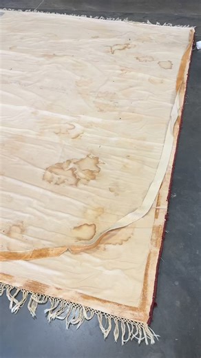 Rug won’t lay flat? New backing = fresh start. 🧵 🧵 Need rug repair or restoration? 📞 Call us today: (703) 255-6000 🌐 Learn more: https://rugcare.com Ayoub Carpet Service® – The Carpet & Rug People® Serving Northern Virginia since 1952. #RugRepair #RugRestoration #LikeNEWAGAIN #AyoubCarpetService #ACS #TheCarpetAndRugPeople | Ayoub Carpet Service "ACS"